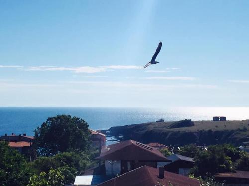Photo de la galerie de l'établissement Нашата Къща, à Sinemorets
