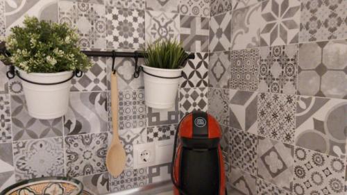 twee potplanten op een betegelde muur bij Casita con encanto en Baiona a lado de las playas de Santa Marta y Ladeira in Baiona