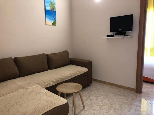 a living room with a couch and a tv at Apartments Ela in Ulcinj