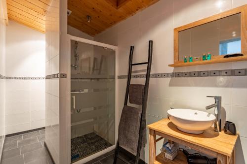 un bagno con lavandino e doccia di Villa à 2 pas de la plage ad Arcachon