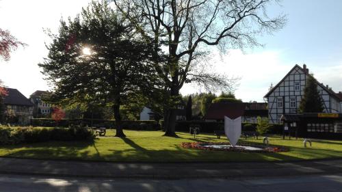 un parque con un gran árbol y un edificio en Klosterhotel Walkenried en Walkenried