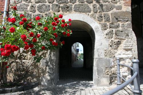 un arco con flores rojas en una pared de piedra en Klosterhotel Walkenried en Walkenried