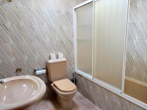 a bathroom with a toilet and a sink and a shower at Ático Pilos in Castro Caldelas
