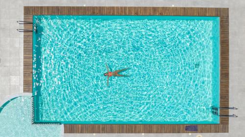 Kellys Luxury Apartments في فاليراكي: وجود طير في ماء المسبح