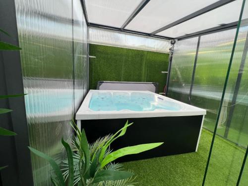 una bañera de hidromasaje en un invernadero con una planta en Capsule océan - Jacuzzi - Billard - Netflix - 2 Chambres - Cuisine, en Valenciennes