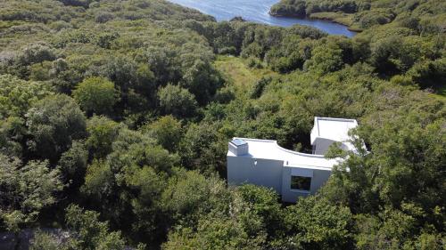 a house in the middle of a forest at Fernwood in Clifden