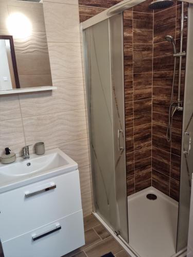 een badkamer met een douche en een wastafel bij Ubytovanie Na Hlavnej in Strekov