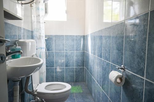 een blauw betegelde badkamer met een toilet en een wastafel bij Đuričić Apartmani in Budva