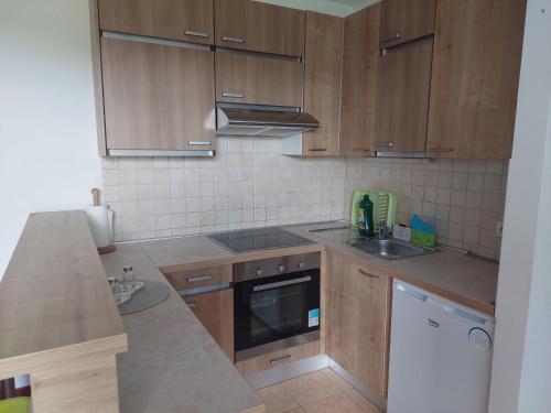 Kuchyň nebo kuchyňský kout v ubytování Apartma Petja