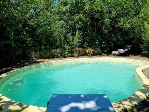 een groot zwembad met een bank in een tuin bij Chambre d'hôtes Les Berges de l'Aude in Puicheric