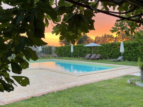 ein Pool mit zwei Bänken und einem Sonnenschirm in der Unterkunft Agriturismo Mammarella in Altavilla Silentina