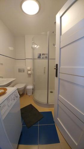 ein Bad mit einer Dusche, einem WC und einer Tür in der Unterkunft Seaside in Danzig