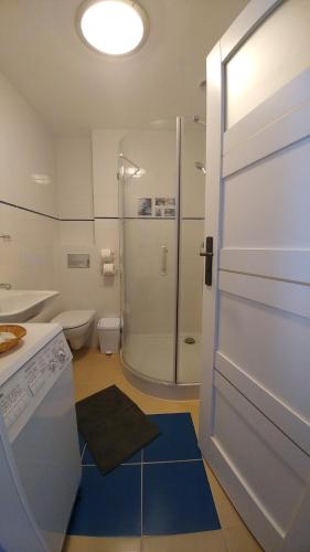 a bathroom with a shower and a toilet and a door at Seaside in Gdańsk