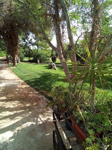 Jardín al aire libre en Li Papi