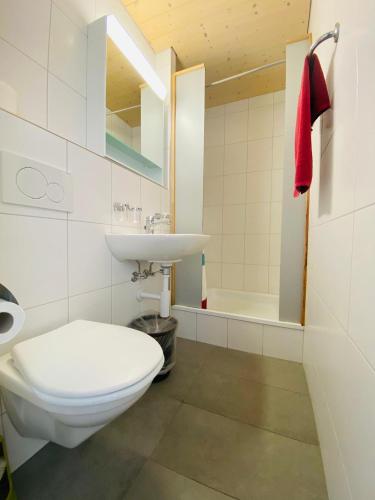 Gallery image of HOTEL CHRISTINA in Wilderswil
