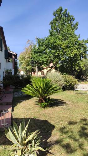 Κήπος έξω από το Podere Borgaruccio