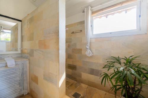 a bathroom with a shower with a window and a plant at Morada do Sol Guest House in Búzios