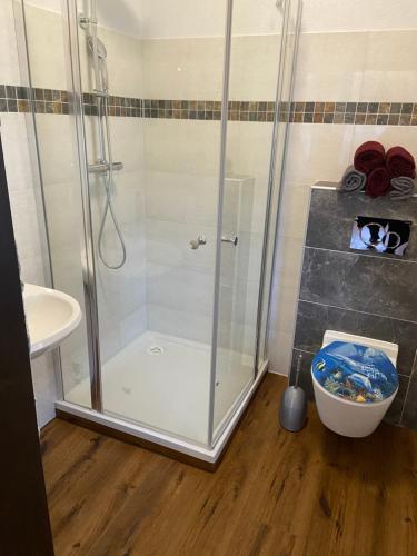 a shower with a glass door in a bathroom at Das Loreley Weinstuebchen in Sankt Goarshausen