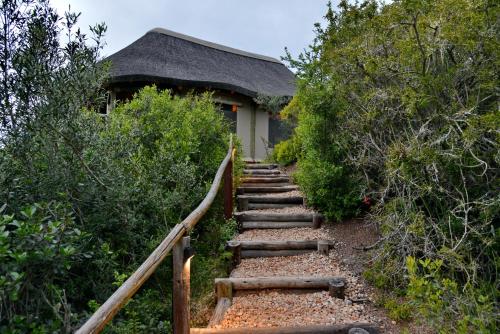 Taman di luar Garden Route Safari Camp