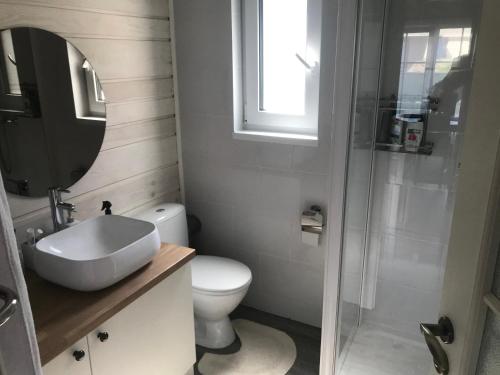 a bathroom with a toilet and a sink and a mirror at Cozy holiday house with sauna and entertainment 