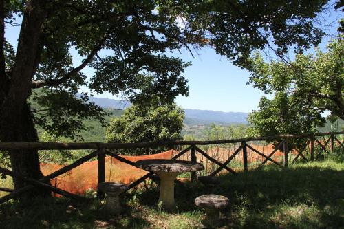 a picnic table in the shade of a tree at Villa Veralda, la magia di una Toscana insolita in Fivizzano