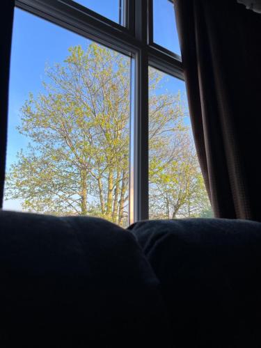 a couch in front of a window with a tree at Strand Beach View House in Gillingham