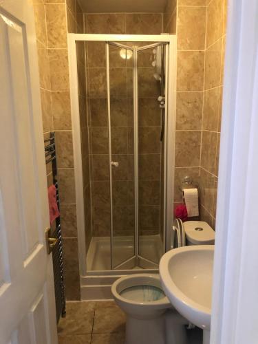 a bathroom with a shower and a toilet and a sink at Strand Beach View House in Gillingham