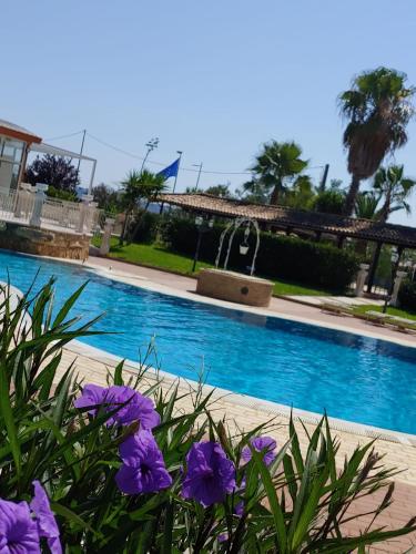 a swimming pool with purple flowers in front of a fountain at Tenuta Bellaprima CALTAGIRONE in Niscemi