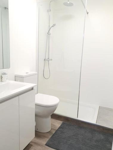 une salle de bain blanche avec toilettes et douche dans l'établissement Gîte 5 personnes Dompierre sur Besbre, à Dompierre-sur-Besbre