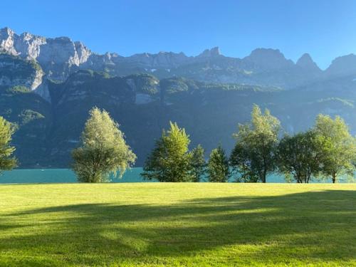 a field of green grass with trees and a mountain at Maisonette im Penthouse-Stil ca 145m2 mit viel Privatsphäre - direkt am Walensee mit Badestrand in Unterterzen