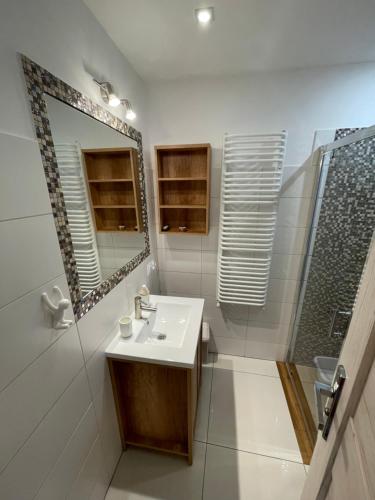 a bathroom with a sink and a mirror at Apartament przy uzdrowisku. in Kamień Pomorski