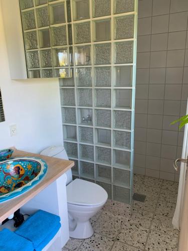 een badkamer met een toilet, een wastafel en een spiegel bij Hytten in Ålbæk