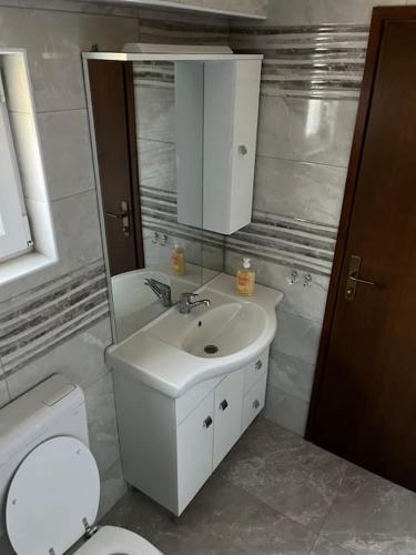 a bathroom with a sink and a toilet and a mirror at Room in Otočac HELENA in Otočac