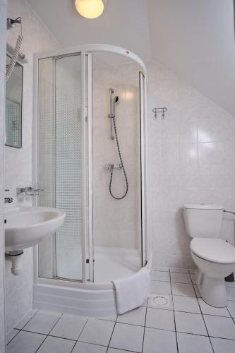 a bathroom with a shower and a toilet and a sink at Hotel Pernigele in Jelgavkrasti