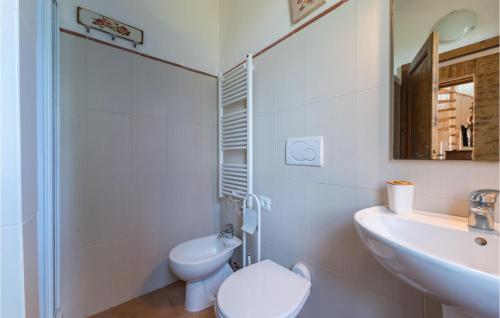 bagno bianco con servizi igienici e lavandino di La Casina Del Melograno a Civitella Marittima