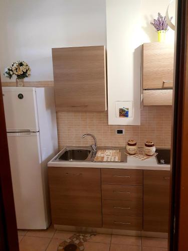 uma pequena cozinha com um lavatório e um frigorífico em La Suerte em Sant'Egidio del Monte Albino
