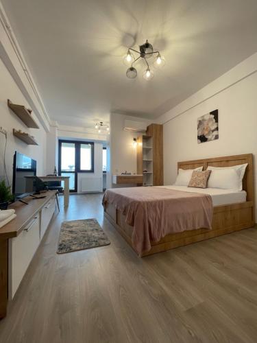 een grote slaapkamer met een bed en een televisie bij Studio Near Palas Mall in Iaşi