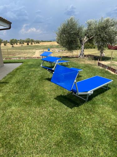 una fila di sedie a sdraio blu sull'erba di Il giardino di nunzia a Principina Terra