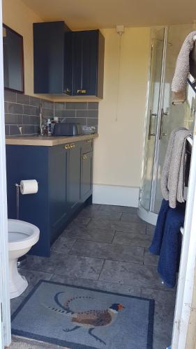 a bathroom with a toilet and a sink and a shower at The Lazy Shepherd in East Pennard