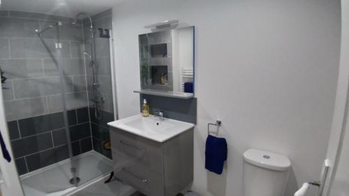 a bathroom with a sink and a shower and a toilet at L'Oustal des amis in Belcaire