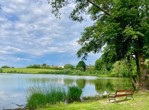 a park bench sitting next to a lake at Apartmán Nad Přehradou in Frýdek-Místek