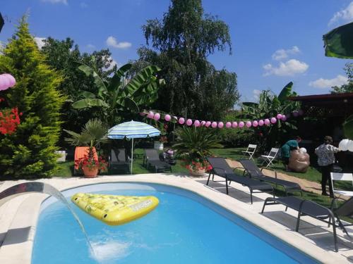 a pool with a raft in the middle of a resort at Casa Mona in Oradea