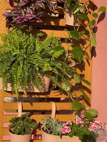 115 OPorto Guest House
