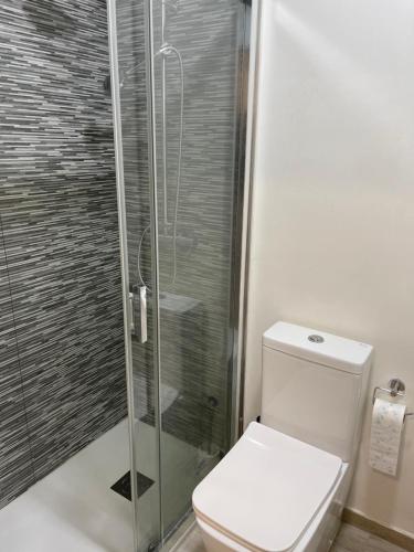 a bathroom with a toilet and a glass shower at La Casita del Pescador in Caleta De Velez