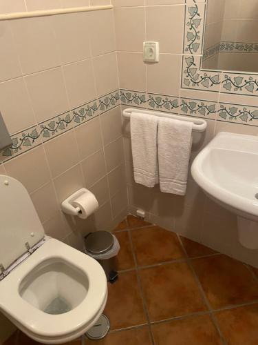 a bathroom with a toilet and a sink at Parra Home Holidays - Close to Galé Beach in Guia