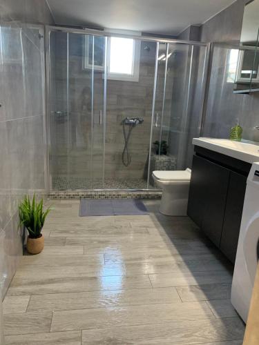 a bathroom with a shower and a toilet and a sink at Paradise House in Ierapetra