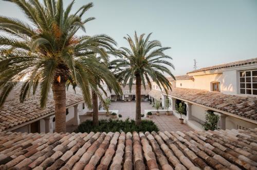 a view from the roof of a house with palm trees at La Dehesa de Don Pedro in Monesterio