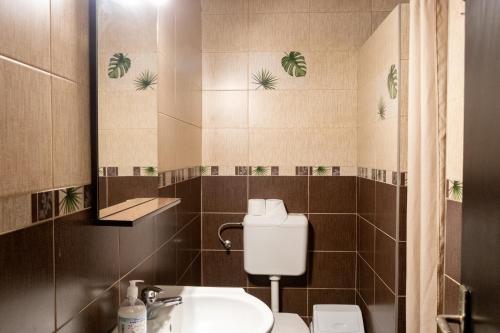 La salle de bains est pourvue d'un lavabo, de toilettes et d'un miroir. dans l'établissement Hotel Tranzit, à Odorheiu Secuiesc