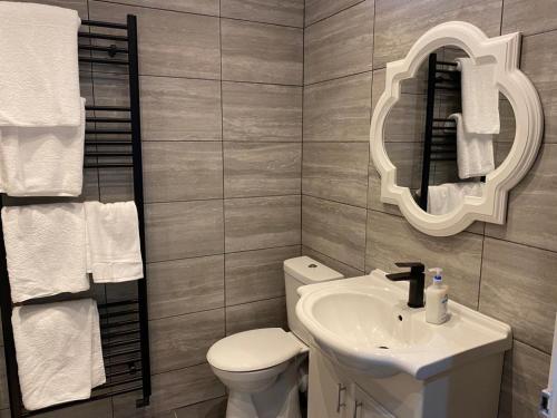 a bathroom with a sink and a toilet and a mirror at London flat with garden in Catford