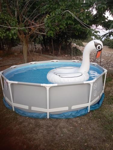 a inflatable pool with a swan in the grass at Mountain House Kastro in Kástron